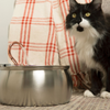 The KittySpout™ - Health And Happiness Cat Kit